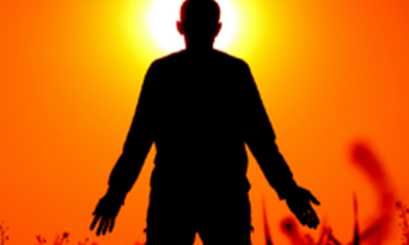 Person stood in a field in front of a sunset